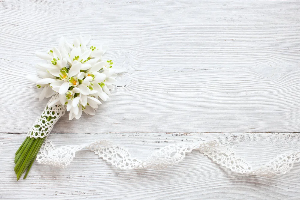 White Lace: The Timeless Elegance of a Classic Fabric